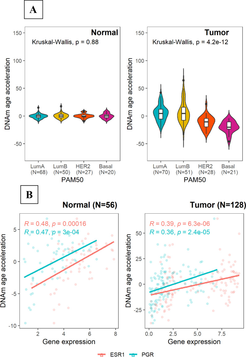 DNA methylation age in paired tumor and adjacent normal breast tissue in Chinese women with breast cancer.