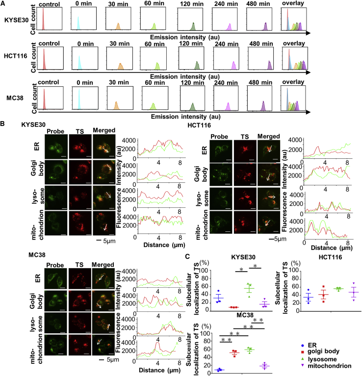 Anti-tumor immunity enhancement by photodynamic therapy with talaporfin sodium and anti-programmed death 1 antibody.