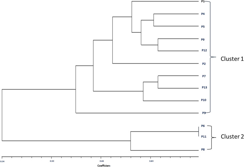An assessment for in vitro propagation and genetic stability of Phoebe goalparensis Hutchinson, an endemic valuable timber tree of North East India.
