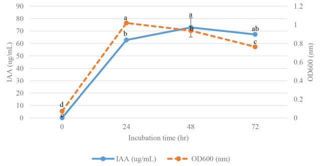 Identification and Optimisation of Indole-3-Acetic Acid Production of Endophytic Bacteria and Their Effects on Plant Growth.