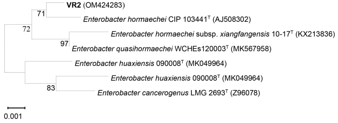 Identification and Optimisation of Indole-3-Acetic Acid Production of Endophytic Bacteria and Their Effects on Plant Growth.