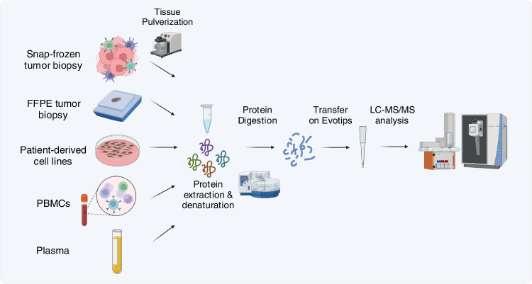 Proteomics to study cancer immunity and improve treatment.