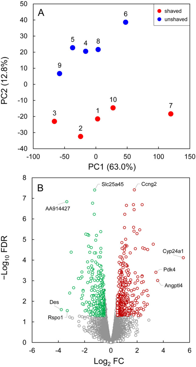 Fur removal promotes an earlier expression of involution-related genes in mammary gland of lactating mice.