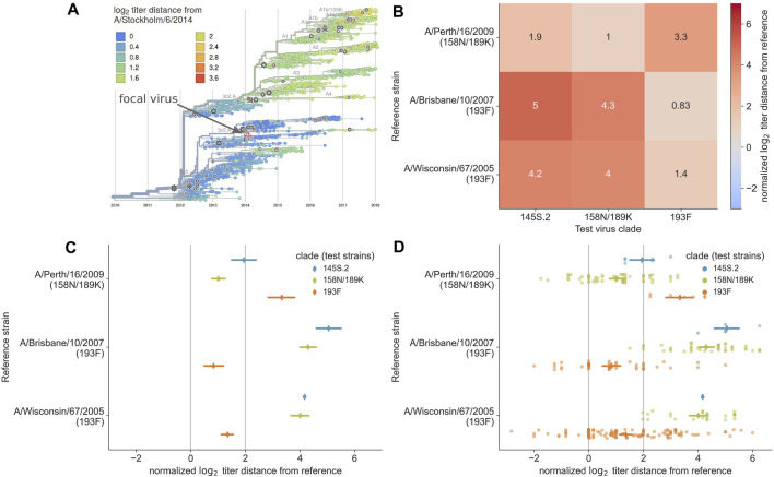 Joint visualization of seasonal influenza serology and phylogeny to inform vaccine composition.