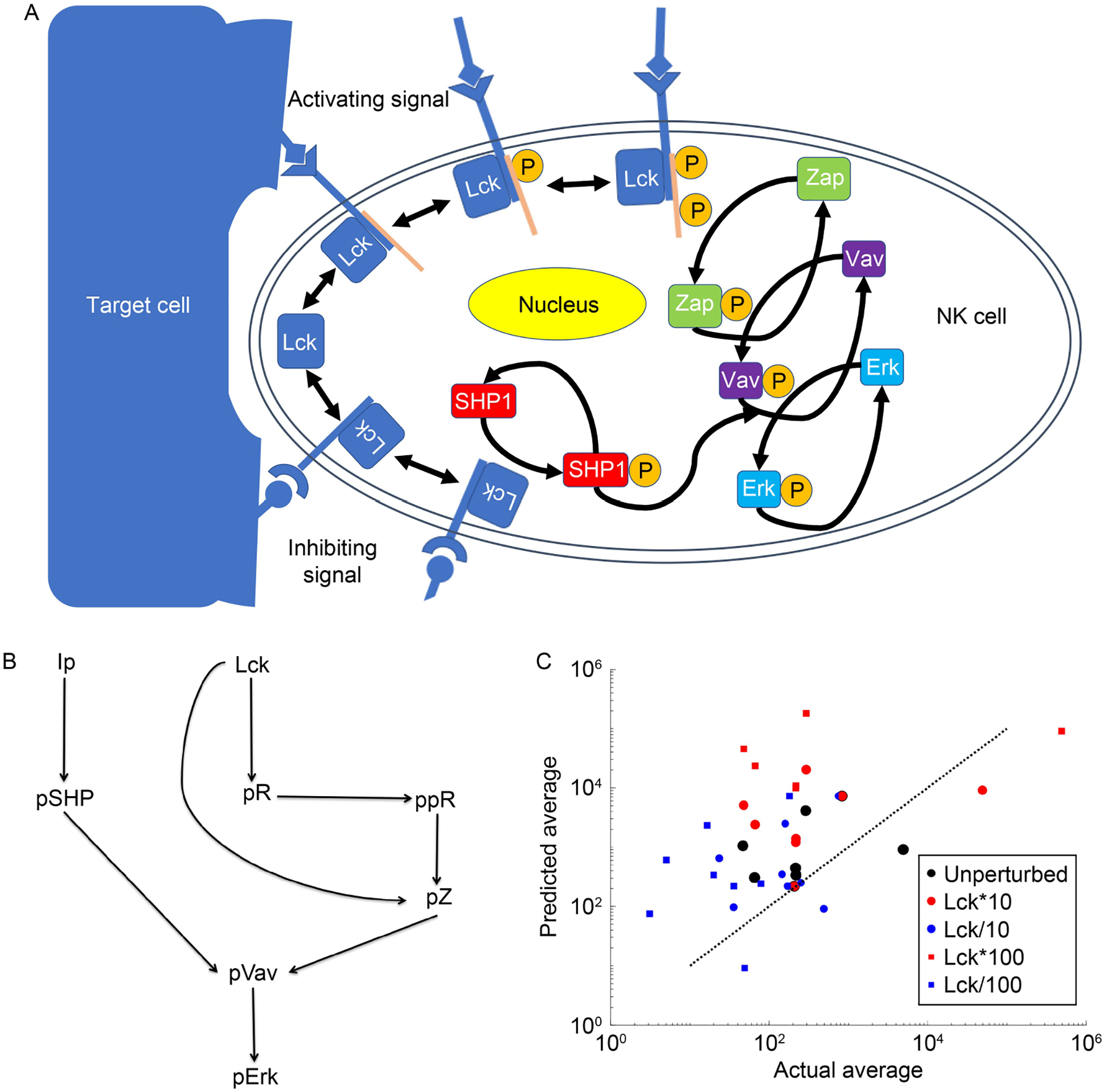 McSNAC: A software to approximate first-order signaling networks from mass cytometry data.