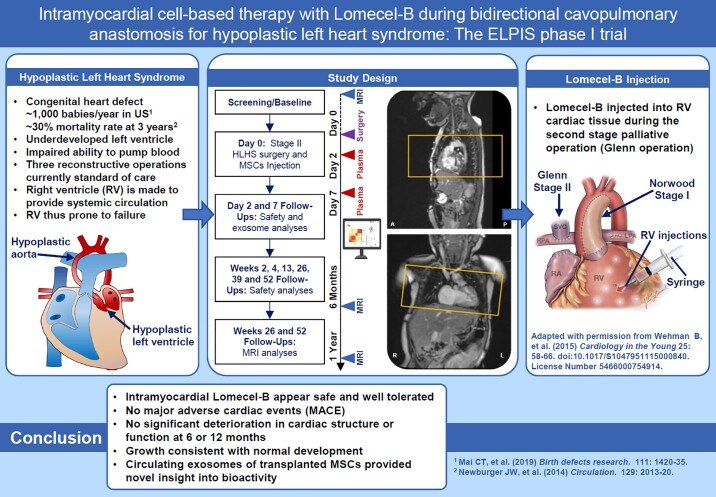 Intramyocardial cell-based therapy with Lomecel-B during bidirectional cavopulmonary anastomosis for hypoplastic left heart syndrome: the ELPIS phase I trial.