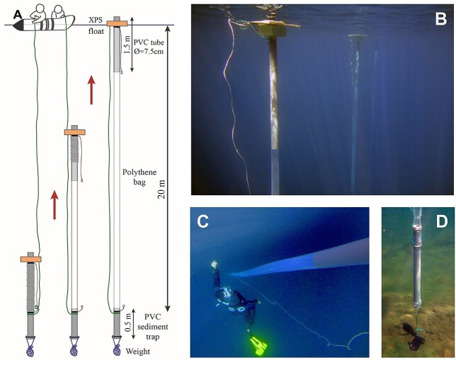 Self-filling enclosures to experimentally assess plankton response to pulse nutrient enrichments.