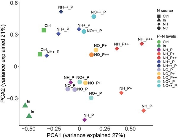 Self-filling enclosures to experimentally assess plankton response to pulse nutrient enrichments.