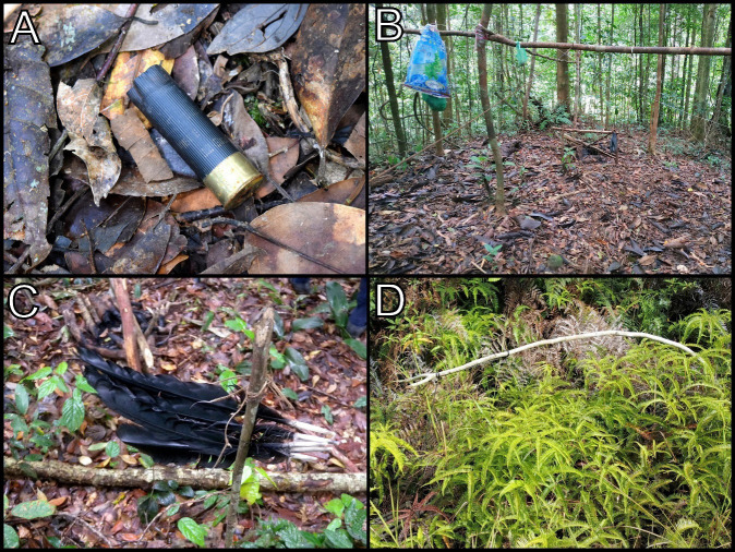 A Demi-Decade of Mammal Research: A Rapid Assessment within the Heart of Borneo in Sabah.