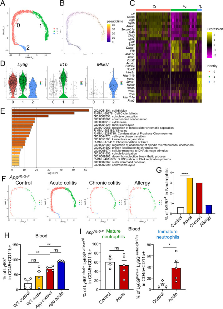 Increased neutrophils in inflammatory bowel disease accelerate the accumulation of amyloid plaques in the mouse model of Alzheimer's disease.