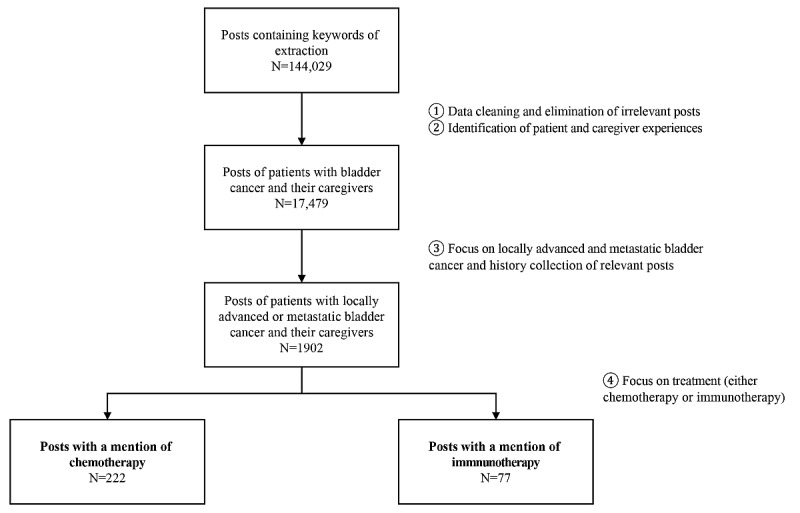 Patient and Caregiver Perceptions of Advanced Bladder Cancer Systemic Treatments: Infodemiology Study Based on Social Media Data.