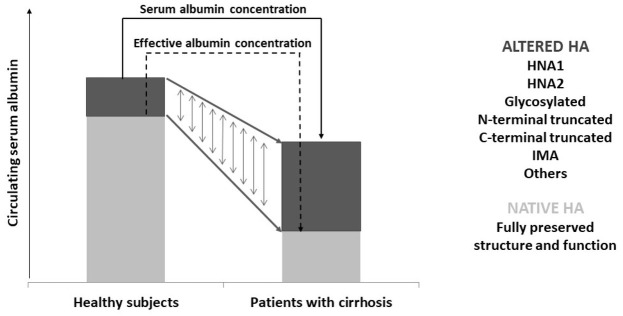 Effective albumin - A novel paradigm in the management of decompensated liver cirrhosis.