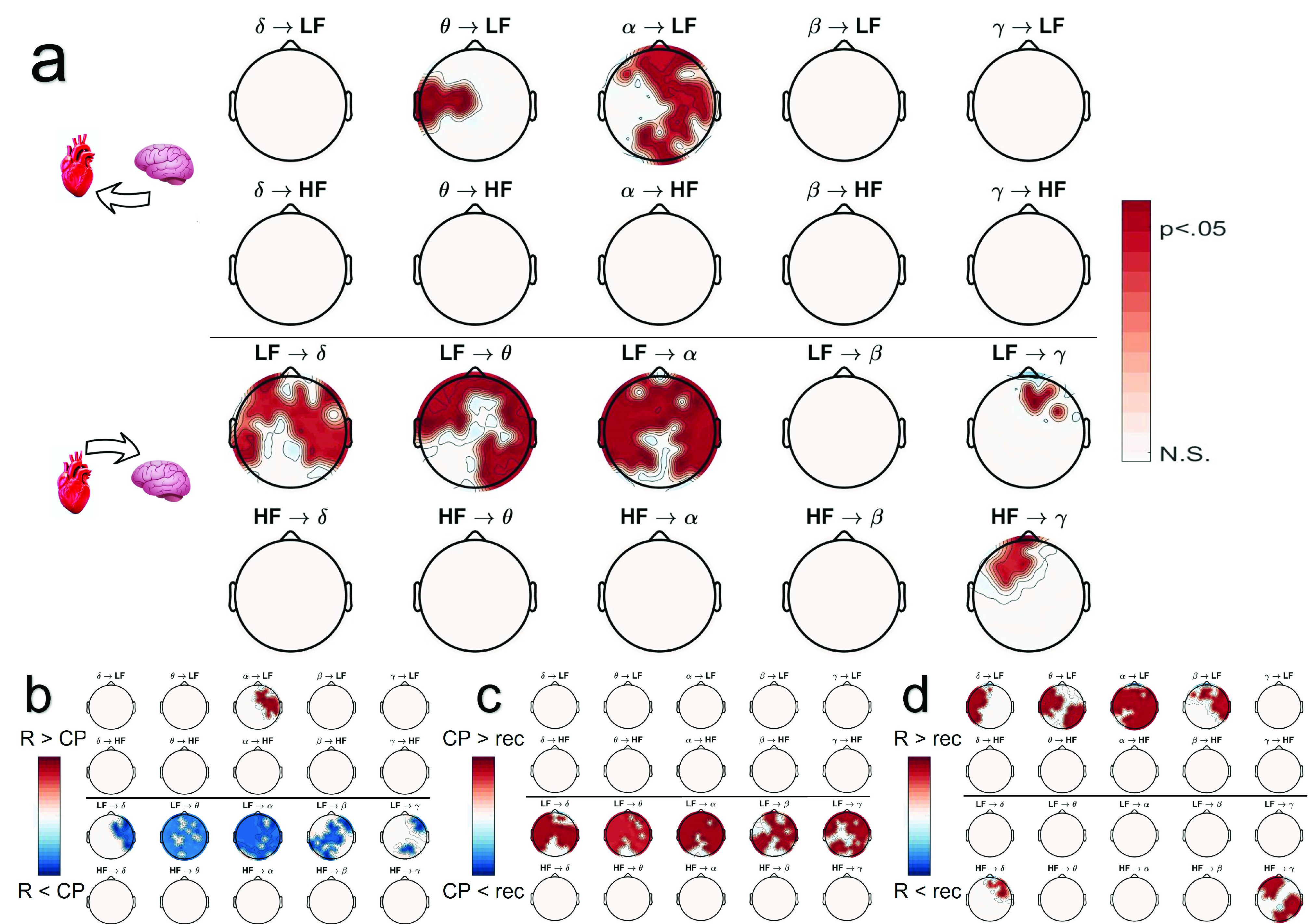 Complex Brain–Heart Mapping in Mental and Physical Stress