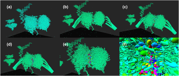 Co-creation environment with cloud virtual reality and real-time artificial intelligence toward the design of molecular robots.