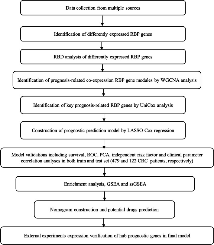 Development and validation of an RBP gene signature for prognosis prediction in colorectal cancer based on WGCNA.