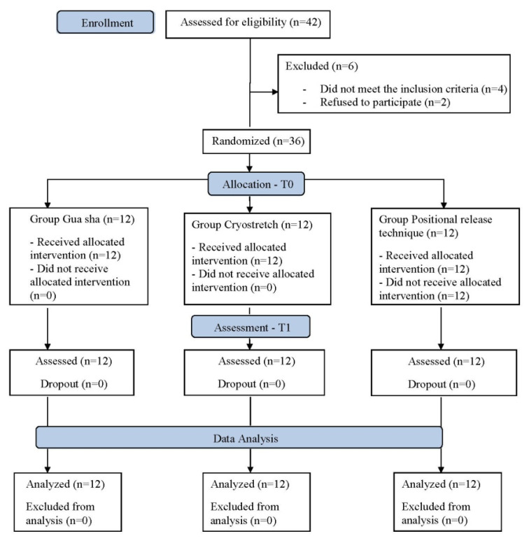 Comparative Effectiveness of Gua Sha, Cryostretch, and Positional Release Technique on Tenderness and Function in Subjects with Plantar Fasciitis: a Randomized Clinical Trial.