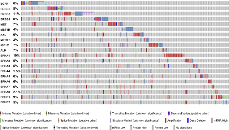 Targeting receptor tyrosine kinases in ovarian cancer: Genomic dysregulation, clinical evaluation of inhibitors, and potential for combinatorial therapies.