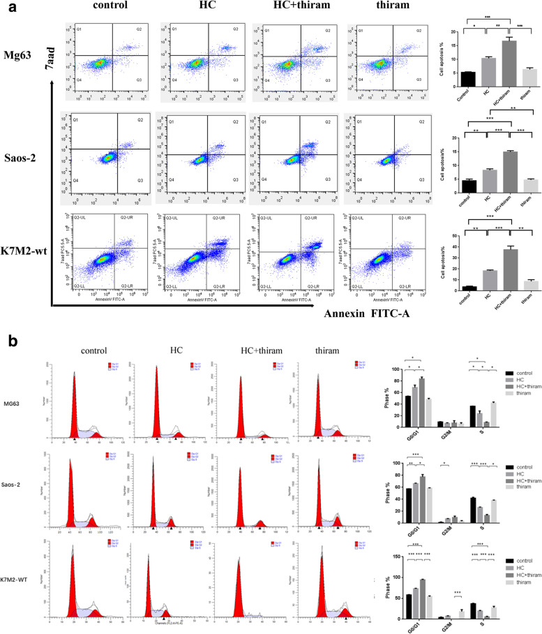 Thiram, an inhibitor of 11ß-hydroxysteroid dehydrogenase type 2, enhances the inhibitory effects of hydrocortisone in the treatment of osteosarcoma through Wnt/β-catenin pathway.