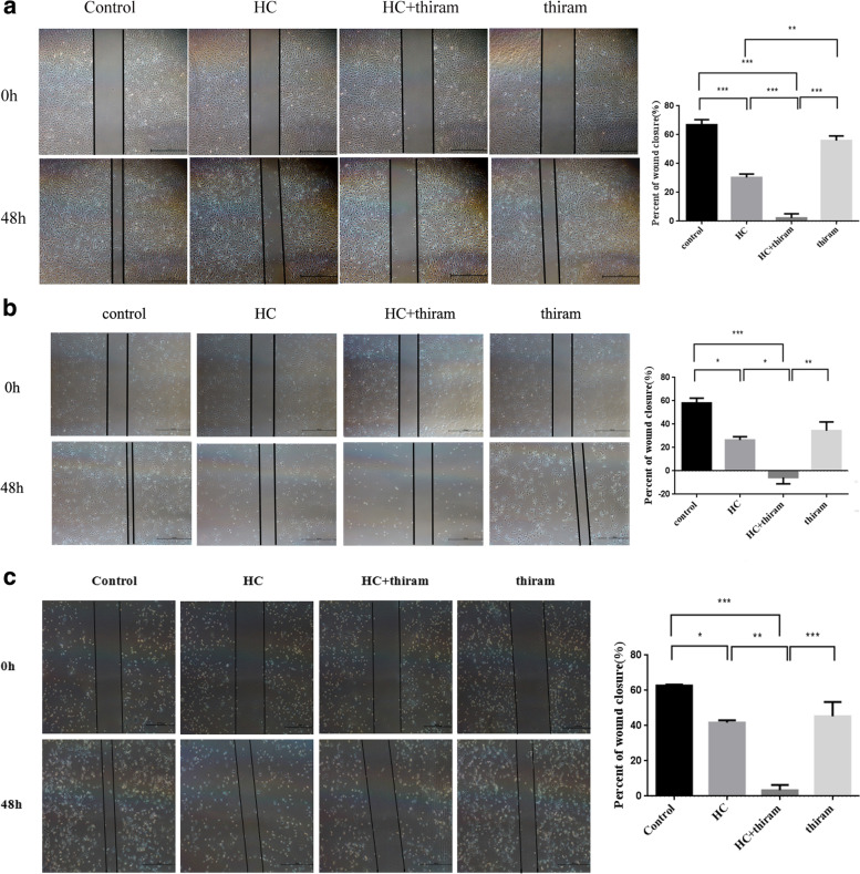 Thiram, an inhibitor of 11ß-hydroxysteroid dehydrogenase type 2, enhances the inhibitory effects of hydrocortisone in the treatment of osteosarcoma through Wnt/β-catenin pathway.