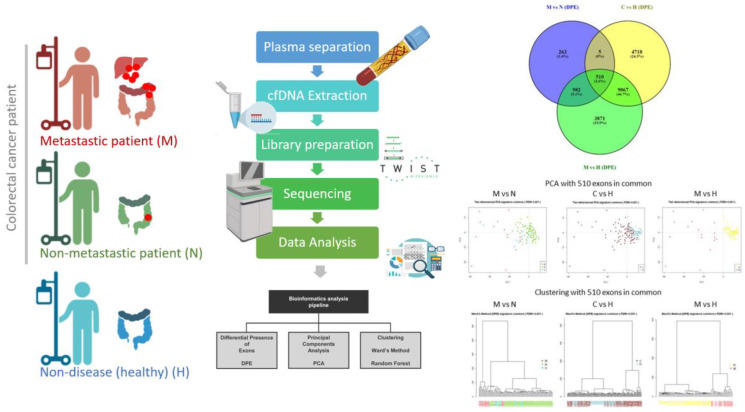 New method of clustering colorectal cancer patients using differential presence of exons (DPE) sequencing.