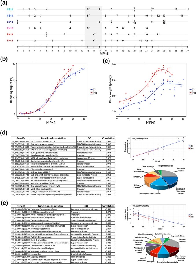 A molecular phenology scale of grape berry development.