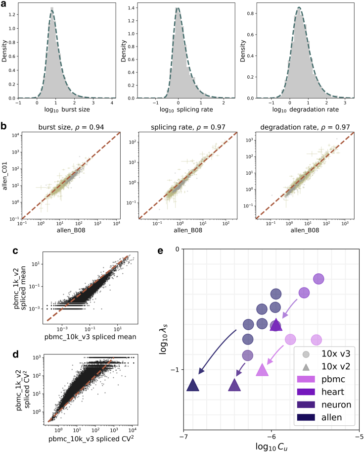 Length biases in single-cell RNA sequencing of pre-mRNA.