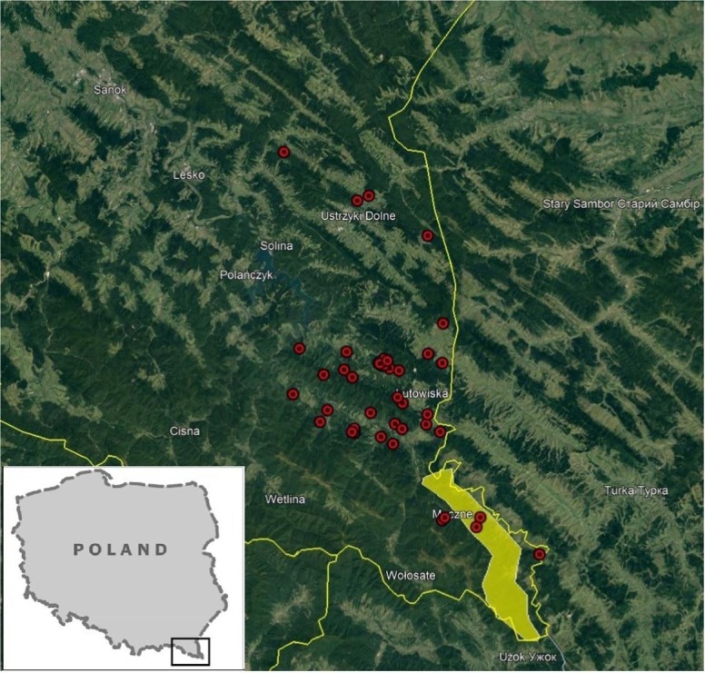 The Eradication of <i>M. Caprae</i> Tuberculosis in Wild Boar (<i>Sus Scrofa</i>) in the Bieszczady Mountains, Southern Poland - An Administrative Perspective.