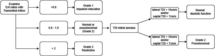 Managing Diastolic Dysfunction Perioperatively.