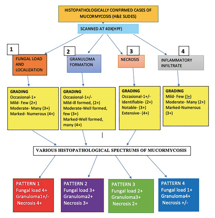 Mucormycosis infection associated with global COVID-19 pandemic - an institutional histopathological study.