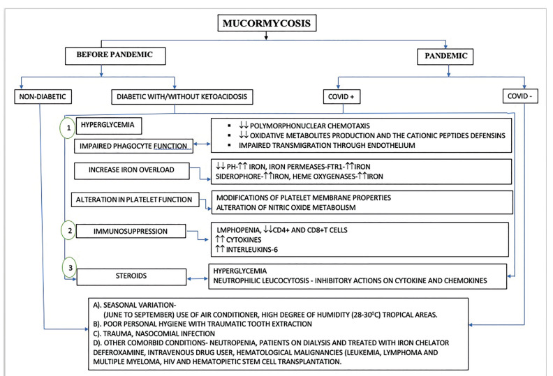 Mucormycosis infection associated with global COVID-19 pandemic - an institutional histopathological study.