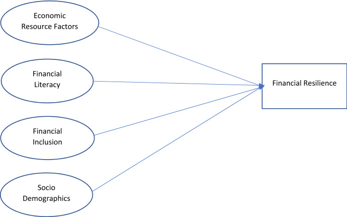 Determinants of financial resilience: insights from an emerging economy.