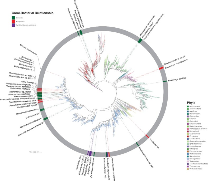 The coral microbiome: towards an understanding of the molecular mechanisms of coral-microbiota interactions.