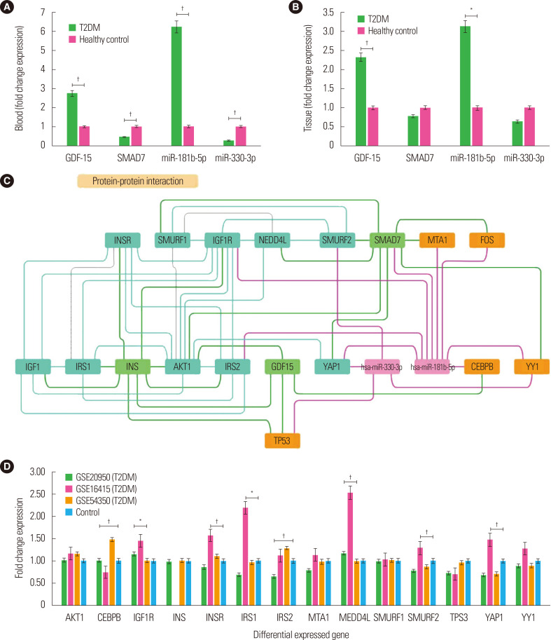 Analyzing the Association of Visceral Adipose Tissue Growth Differentiation Factor-15 and MicroRNA in Type 2 Diabetes Mellitus.