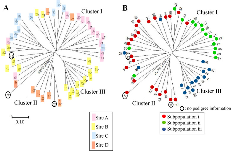 Erratum: Genetic diversity analysis and parentage verification of Taishu horses using 31 microsatellites.