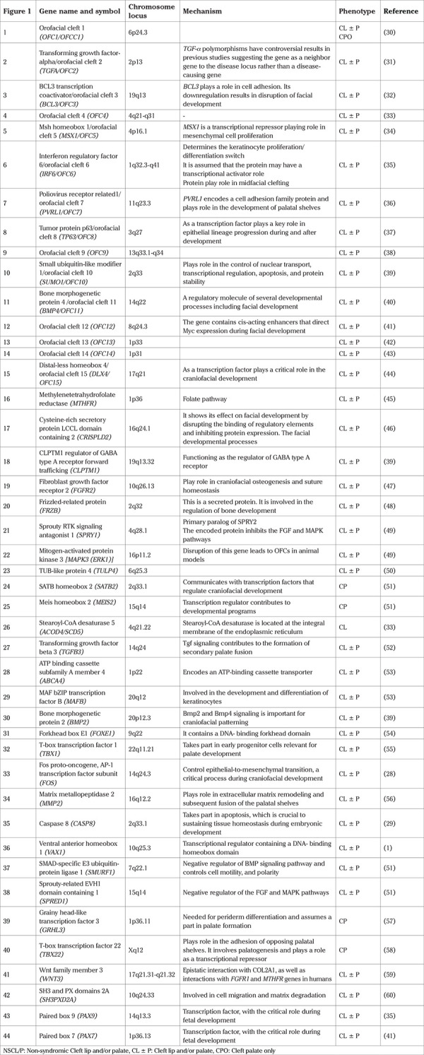 The impact of developmental genes in non-syndromic cleft lip and/or palate