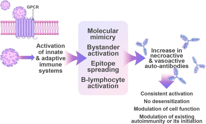 Investigating the possible mechanisms of autonomic dysfunction post-COVID-19