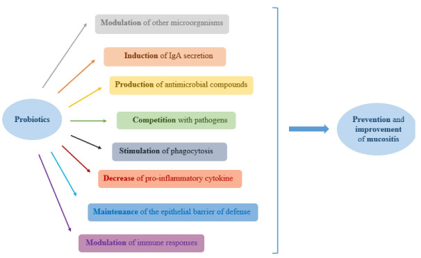 Probiotics for the Management of Oral Mucositis: An Interpretive Review of Current Evidence.