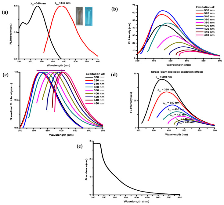 Polyvinylpyrrolidone-passivated fluorescent iron oxide quantum dots for turn-off detection of tetracycline in biological fluids.