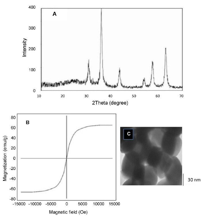 Liposome-Fe<sub>3</sub> O<sub>4</sub>-Doxorubicin Mediated Treatment of Melanoma Tumors.