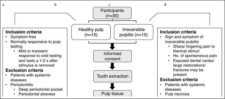 Observation of Inflammation, Oxidative Stress, Mitochondrial Dynamics, and Apoptosis in Dental Pulp following a Diagnosis of Irreversible Pulpitis.