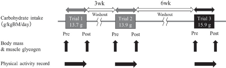 Comparison of three type of muscle glycogen loading interventions using a very-high-carbohydrate diet in an elite male racewalker: a case report.