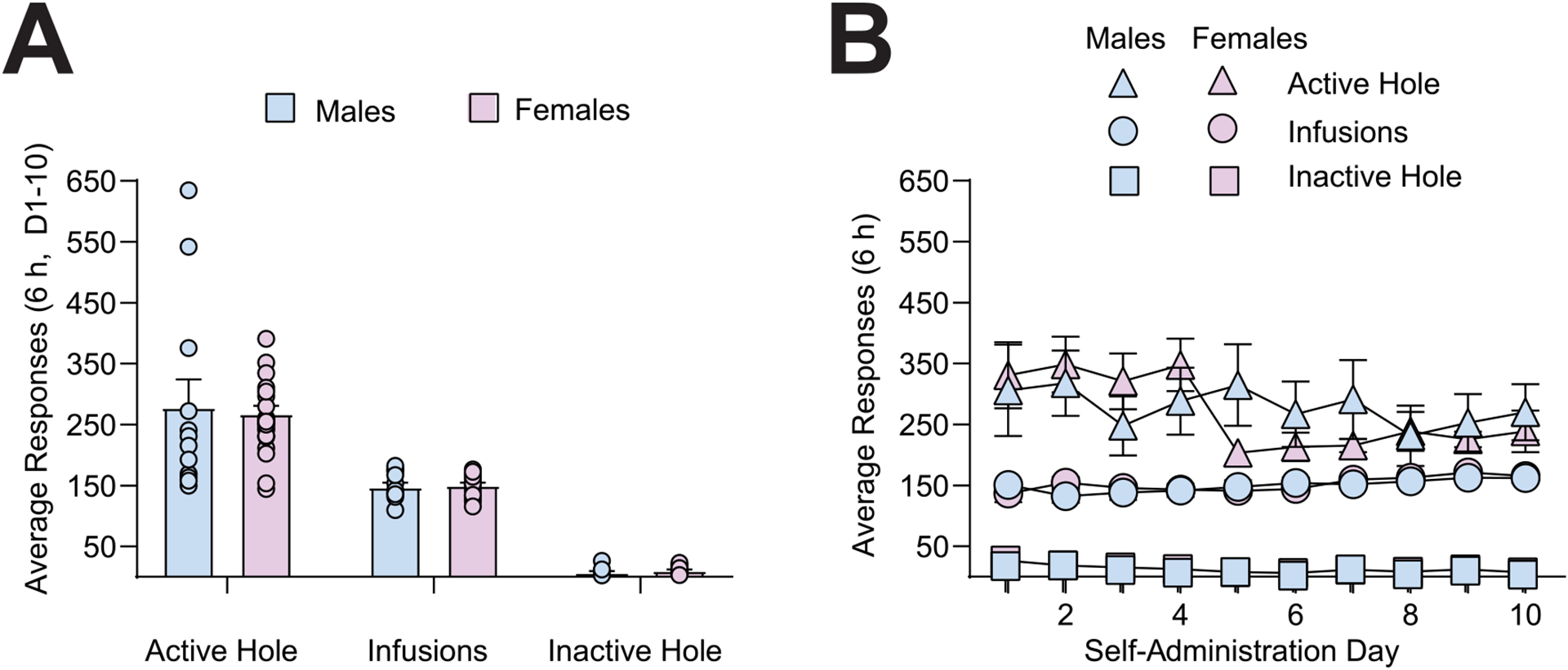 mGlu5 inhibition in the basolateral amygdala prevents estrous cycle-dependent changes in cue-induced cocaine seeking