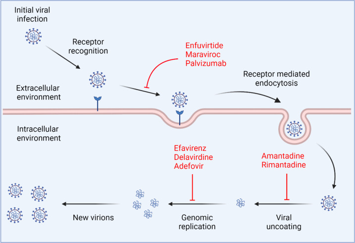 Immunomodulatory nanosystems: An emerging strategy to combat viral infections