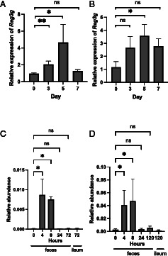 Ruminococcus gnavus and Limosilactobacillus reuteri Regulate Reg3γ Expression through Multiple Pathways.