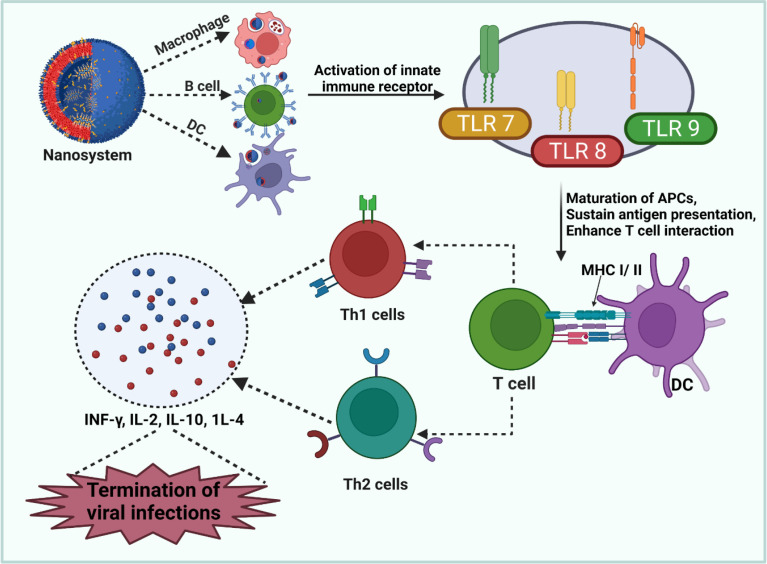 Immunomodulatory nanosystems: An emerging strategy to combat viral infections