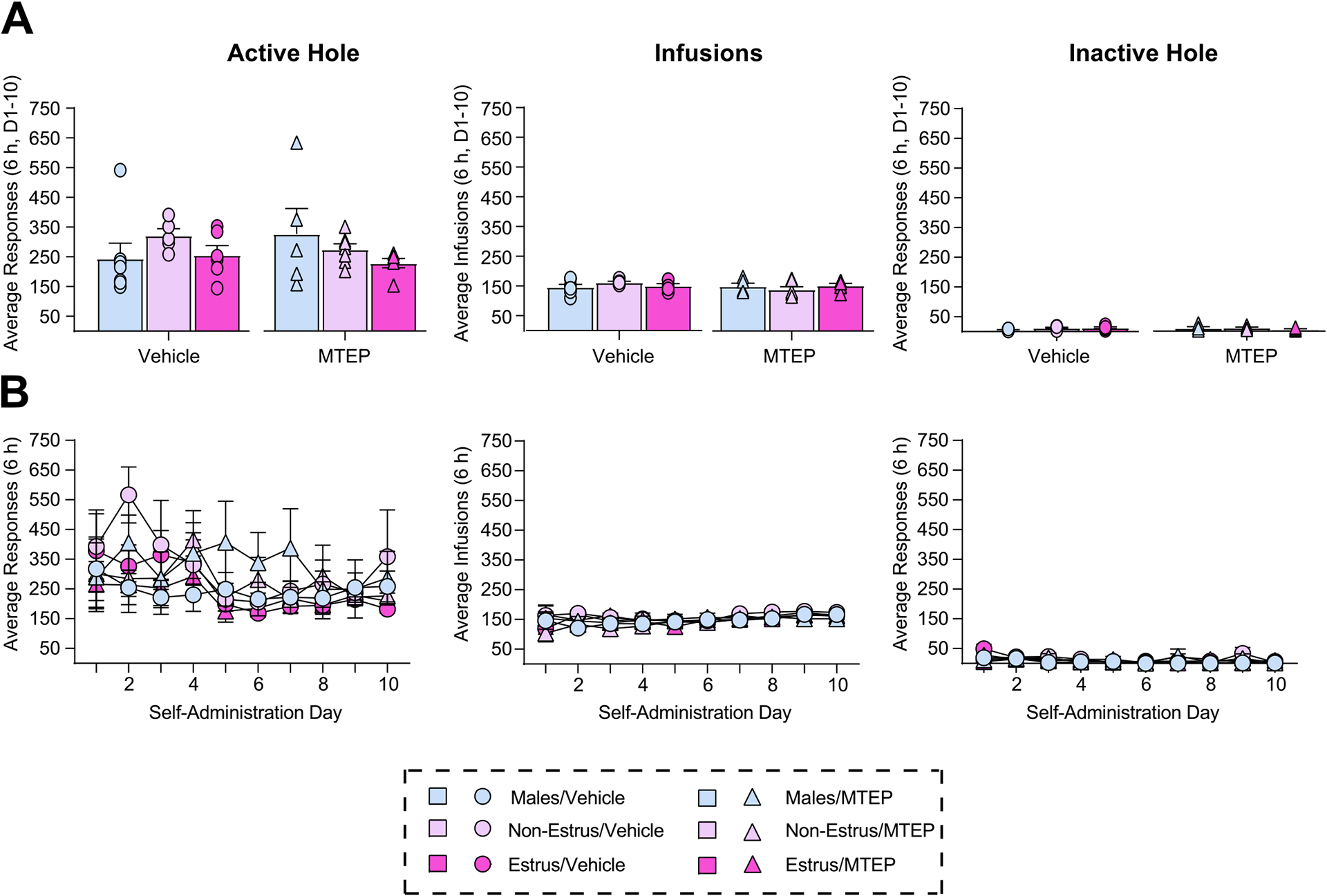 mGlu5 inhibition in the basolateral amygdala prevents estrous cycle-dependent changes in cue-induced cocaine seeking