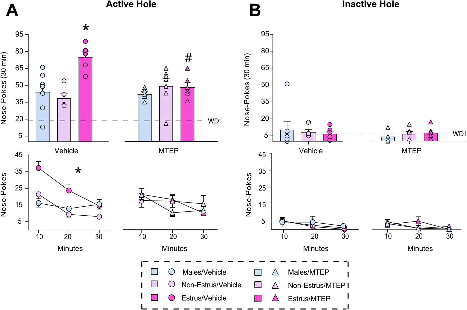 mGlu5 inhibition in the basolateral amygdala prevents estrous cycle-dependent changes in cue-induced cocaine seeking