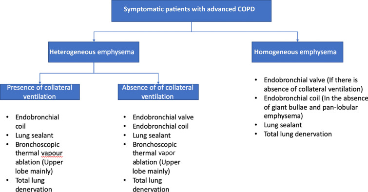 Which Endoscopic Procedure to Use and in What Patient? Valves, Coils, Foam, and Heat in COPD and Asthma.