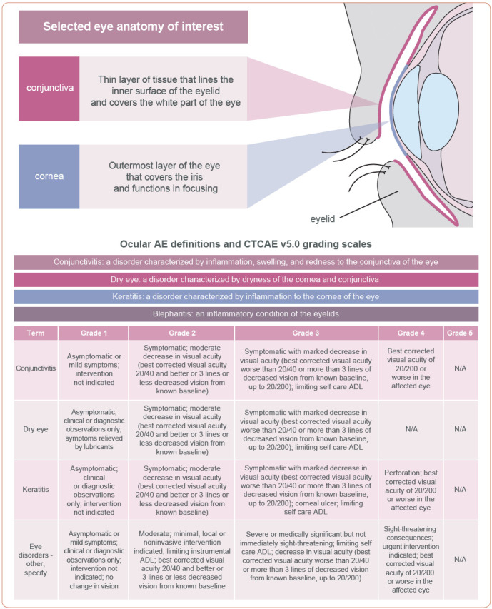 Tisotumab Vedotin Safety and Tolerability in Clinical Practice: Managing Adverse Events.