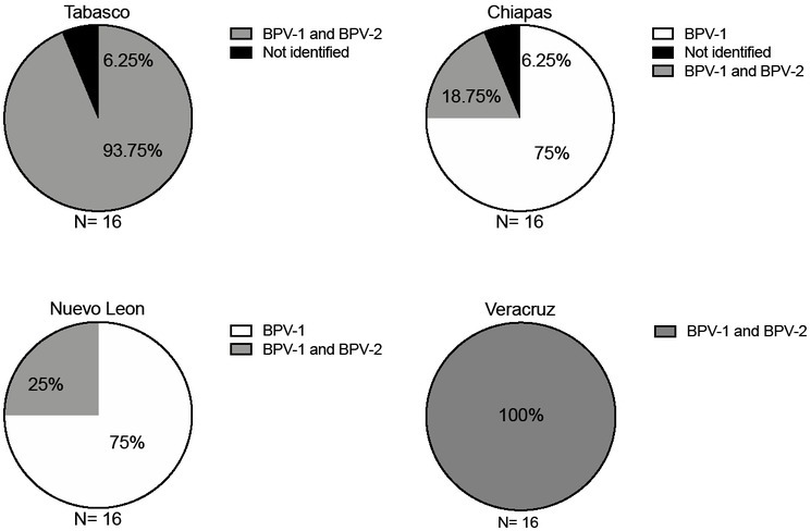 Design, Synthesis, and Evaluation of Peptides Derived from L1 Protein Against Bovine Papillomavirus-1/2 Identified Along Mexico's Cattle Export Route.